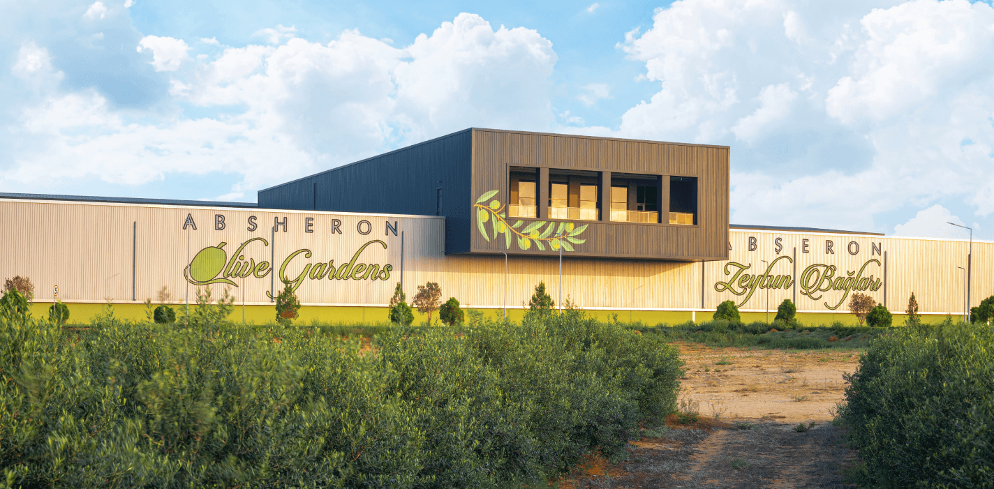 Absheron Olive Gardens